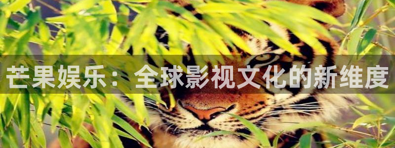 超凡国际app官方下载：芒果娱乐：全球影视文化的新维度