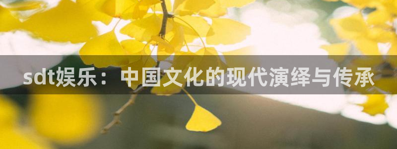 超凡国际：sdt娱乐：中国文化的现代演绎与传承