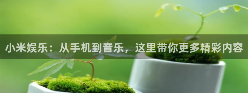 超凡国际app官方下载：小米娱乐：从手机到音乐，这里带你更多精彩内容