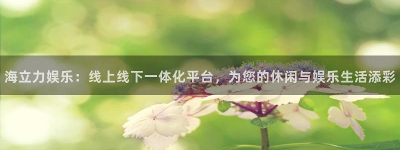 超凡国际下载：海立力娱乐：线上线下一体化平台，为您的休闲与娱乐生活添彩