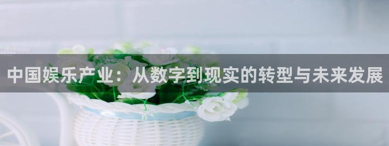 超凡国际官网：中国娱乐产业：从数字到现实的转型与未来发展