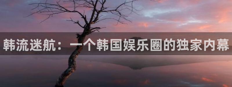 超凡国际：韩流迷航：一个韩国娱乐圈的独家内幕